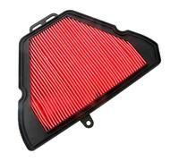 Hokio Triumph Tiger Sport 1050 07-17 Air Filter