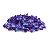 HOKPA 60Pcs Artificial Orchids Flower Heads, Fake Orchid Blooms Head for Wedding Cake Centerpieces Decor Bouquet Making DIY Crafts Bridal Shower Photography Props