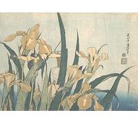 Hokusai 'Grasshopper and Iris', Japan, 18-19th Century, Reproduction gloss A4 & A3 Ukiyo-e Classic Art Poster