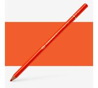 Holbein : Artists' Coloured Pencil : Tiger Lily