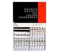 Holbein oil paint DH set (japan import)