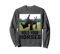 Hold Your Horses Funny horse Meme for man woman Sweatshirt