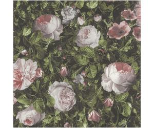 Holden Décor Blush Rose Floral Wallpaper Dark Green Botanical Vintage Flower Pattern