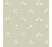 Holden Décor Daisy Floral Textured Wallpaper in Green Holden Décor Green