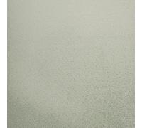 Holden Decor Opus Alocasia Allora Texture Sage Wallpaper 36260 - Bead Effect