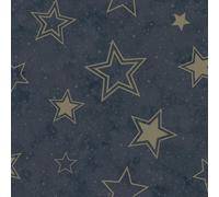 Holden Décor Stardust Wallpaper Midnight Blue / Gold Holden 14061