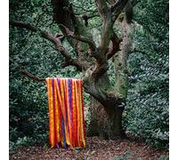 Holden,James - The Animal Spirits [VINYL]