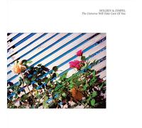 Holden & Zimpel - The Universe Will Take Care Of You [VINYL]
