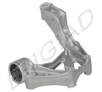 BUGIAD BSP20325 Holder, control arm mounting