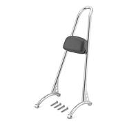 Holder Luggage Rack For Sportster XL 1994-2003 883 1200 Chrome Gloss Black Tall Sissy Bar Pad Backrest Motorcycle Accessories Motorbike Rear Tail Storage Rack(Chrome)