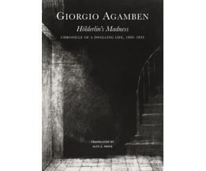 Holderlin’s Madness : Chronicle of a Dwelling Life, 1806-1843