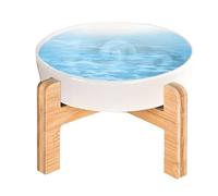 Holdes Elevated Ceramic Cat Bowls, Raised Cat Bowl | Dog Dishes Anti-Spill Slow Feeder - Dog Food Container, Food Supplies,