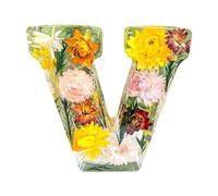 Holdes Floral Resin Night Light,Floral Resin Night Light Letter, Pressed Flower Resin Letters with LED Light, Decorative Resin Lamp with Initial Letter & Dry Flower, Creative Decorations