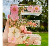 Holdes Floral Resin Night Light with Pressed Flower Letters & LED, Decorative Lamp with Dry Flower, Creative Home Decor