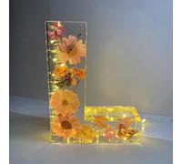 Holdes Floral Resin Night Light with Pressed Flower Letters & LED, Decorative Lamp with Dry Flower, Home Decor