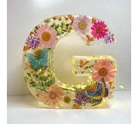 Holdes Floral Resin Night Light with Pressed Flower Letters & LED, Decorative Lamp with Initial & Dry Flower, Creative Decor