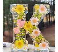 Holdes Floral Resin Night Light with Pressed Flower Letters & LED, Decorative Resin Lamp with Initial Letter & Dry Flower, Creative Decoration