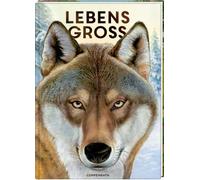 Holger Haag Manfred Rohrbec Lebensgroß: Tiere des Waldes (Nature Zoom (Hardback)