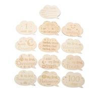 Holibanna 1 Set Newborn Cards Double Sided Memory Discs for First Year Capture with High End Engraving Announcement Prop