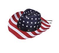 Holibanna 1PC Classic Straw Woven Cowboy Hat with Wide Brim Unisex Sun Block Hat for Cosplay Dancing and Performance Lightweight Breathable Outdoor Accessory