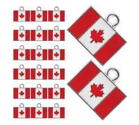 Holibanna 20pcs Canada Flag Charms Drip Oil Anti-fade Pendants for DIY Jewelry Making Metal Canada Flag Pendants for Necklaces Bracelets Earrings Craft Supplies
