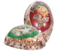 Holibanna 2Pcs Natural Conch Shell Decor for DIY Crafts Home Decoration and Aquarium Ornaments Smooth Edges Lightweight for Jewelry Making and Beach Themed Decor Random Color