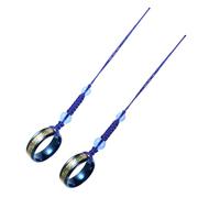 Holibanna 2Pcs Phone Lanyard with Steel Ring Durable Steel Agate Key Chain for Mobile Phones Easy to Attach for Keys and Accessories Night Glow Dragon Pattern