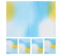 Holibanna 5 Sheets Gradient Textured Wrapping Paper Sheets Floral Bouquet Wrap for and Flower Arrangements Soft Crinkled Paper for Festive Celebrations and Creative Packaging