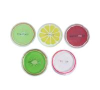 Holibanna 5pcs Summer Travel Mini Ice Mat Ice Bags for Packs for Coolers No Charge Soft Compact Style