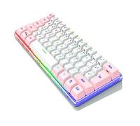 Holibanna 61-Key RGB Mini Gaming Keyboard Compact Design for PC and Laptop Lightweight and Portable for Gamers Small Size Colorful Backlight