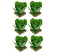 Holibanna 6Pcs Simulated Cabbage Models Educational Veg for Desktop Adornments DIY Sand Table Decor Creative Learning Figurines for Boys