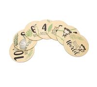 Holibanna 7pcs Monthly Milestone Round Cards Wooden Milestone Discs Growth Cards Photo Props for Newborns First Birthday Decorations
