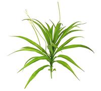 Holibanna Artificial Cymbidium Orchid Plant Hanging Orchid Flowers with Green Leaves Indoor Home Décor Garden Wall Pot for Living Room Or Office