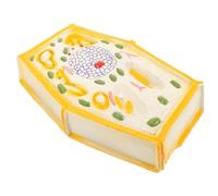 Holibanna Magnified Plant Cell Model for Biology Teaching, Anatomical Plant Cell Educational Aid, School and Office Science Supply for Classroom Use
