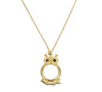 Holibanna Owl Pendant Necklace 6x Magnifying Glass for Reading Vintage Gold Metal Magnifier Jewelry Necklace for Women Book Magnifier Chain