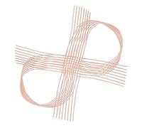 Holibanna Pink Elastic Ballet Point Shoes Belt 2pcs with Invisible Design for Professional Ballet Dancers and Jazz Performances