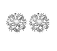 Holibanna Rhinestone Shoes Clips Pearl Shoe Charms Buckle Crystal High Heel Flowers Embellishment for Wedding Bridal Party Dress DIY Decoration