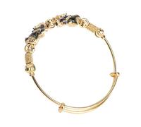 Holibanna Titanium Gold Color Change Pi Yao Adjustable Bangle Bracelet for Women Blue Push-Pull Open Wristband Fashion Jewelry