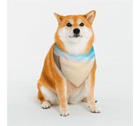 Holiday by The Seaside Dog Bandana for Small Medium Large Dogs, Cat Dogs Kerchief Triangle Bibs Scarf for Girl Or Boy