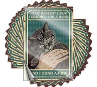 Holiday, Decals Western Case Black Cat in My Darkest Hour I Reached for A Hand and Found A Paw | Funky Waterproof Vinyl Stickers(6X9CM)