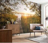 Photo wallpaper Summer Day Lake Fishing Spot wall decor 368x248cm brown reeds