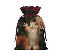 Holiday Drawstring Squirrel Funny Animal Print Gift Bags,Assorted Size Small,Medium,Holiday Xmas Presents Wrapping Bags With Tags