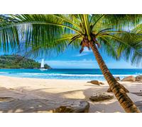 Holidays In Seychelles