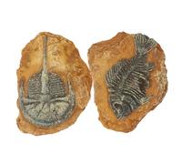 HOLIDYOYO 2Pcs Creative Simulation Fossil Ornaments for Reptile Terrariums Realistic Decors for Snake and Lizard Environments Lightweight and Durable Design