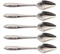 HOLIDYOYO 5pcs Professional Bird Feeding Spoon Stainless Steel Large Size Manual Parrot Feeder Scoop for Hand-feeding Baby Birds and Cockatiels in Garden and Aviary