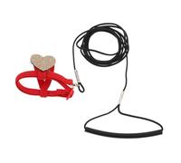 HOLIDYOYO Adjustable Lightweight Parrot Harness and Leash for Outdoor Flying Secure Bird Training Rope with Long Flight Freedom Travel-friendly Design for Cockatiels Conures Parakeets