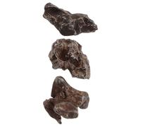 HOLIDYOYO Authentic Iron Meteorite Specimen 5g Educational Scientific Model for Teaching Specimen Demonstrations and Desktop Ornament with Hands-on Learning for Students and Mineral
