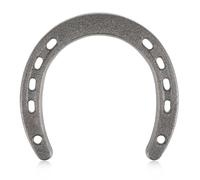 HOLIDYOYO Cast Iron Horseshoe Wall Hanging Decoration 4.5 Inch Unique Lucky Horseshoe Ornament Rustic Wall Ornament for Home Decor and