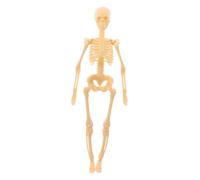 HOLIDYOYO Human Anatomy Skeleton Model for Studying and Teaching DIY Full-body Skeleton with Smooth Surface Easy Assembly for Medical and Science Learning Suitable for Students and