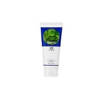 Holika Holika Daily Fresh Green Tea Facial Cleansing Foam, 150 ml